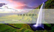 12星座礼服图片