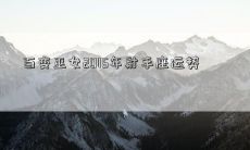 百变巫女2015年射手座运势