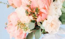 百变巫女2015年水瓶座运势