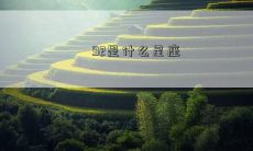 92是什么星座