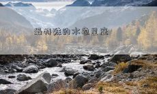 最特殊的水象星座