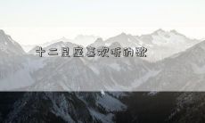十二星座喜欢听的歌