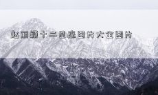 赵丽颖十二星座图片大全图片