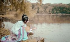 生肖属牛运势