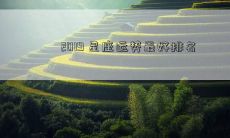 2019 星座运势最好排名