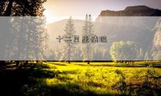 十二星座情侣