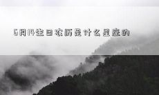 6月14生日农历是什么星座的