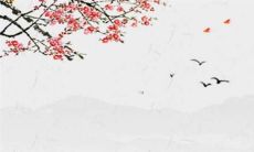 生肖兔2023年犯太岁