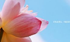 2019年7月7日小暑搬公司日子合适吗,2019年小暑是几点几分?