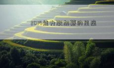 2014能升职加薪的星座