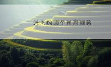 天上的88个星座图片