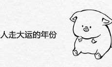 属猪人走大运的年份