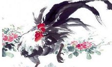 属鸡人的事业贵人是谁