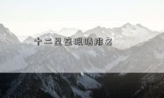 十二星座眼睛排名