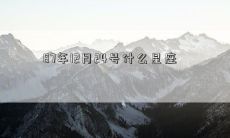 87年12月24号什么星座