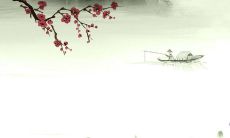 春节出生的属虎宝宝命好不好