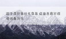 耗子尾汁是什么意思 这些星座不懂得好自为之