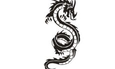 生肖龙和生肖鼠的合财吗?