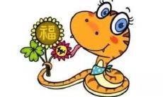 生肖蛇和生肖猴的合财吗?