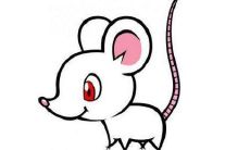 生肖兔和生肖猴的合财吗?