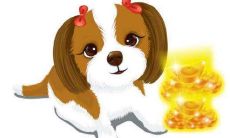 生肖狗和生肖猪的合财吗?