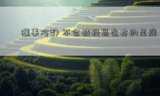 遇事冷静 不会被轻易左右的星座