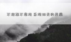 不抱怨不悲观 乐观阳光的星座