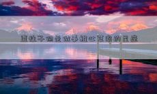直性子但是做事粗心草率的星座