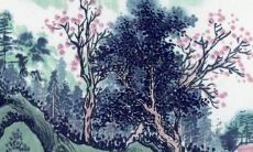 68年的猴在2022年的运势