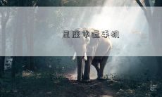 星座幸运手机