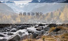 星座日期划分
