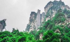 梦见自己爬上一座山