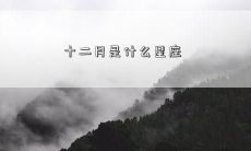 十二月是什么星座
