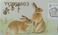 已卯年实哪一年 这年出生的人好吗