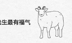 属羊几月出生最有福气