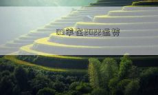 03羊在2022运势