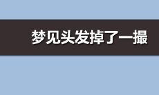 梦见头发掉了一撮