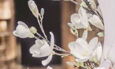 阴历3月26号到底什么星座
