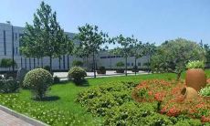 梦到老鼠咬我是什么意思 预示着什么