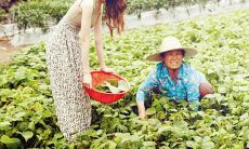 妻子的面相决定你未来的生活状态如何