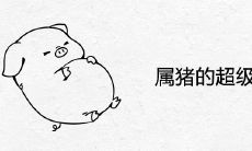 属猪的超级贵人