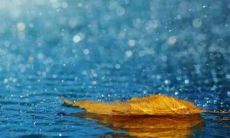 梦见下雨是什么意思 不同的雨有不同的释义