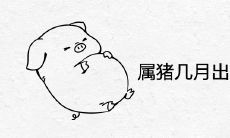 属猪几月出生最有福气