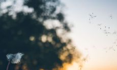 玛利亚爱情占星-感情关系的危险信号