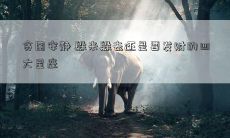 贪图安静 躲来躲去还是要发财的四大星座