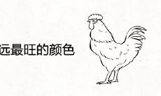 属鸡人永远最旺的颜色