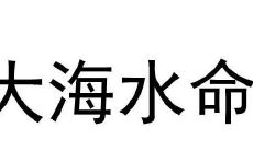 大海水命佩戴什么最旺财?