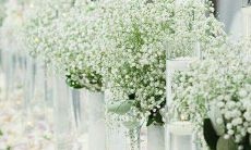 八字当中命犯桃花的人婚姻怎么样?命犯桃花是什么意思?