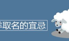 属羊取名的宜忌