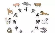 八字命宫是什么意思,八字命宮推排法
